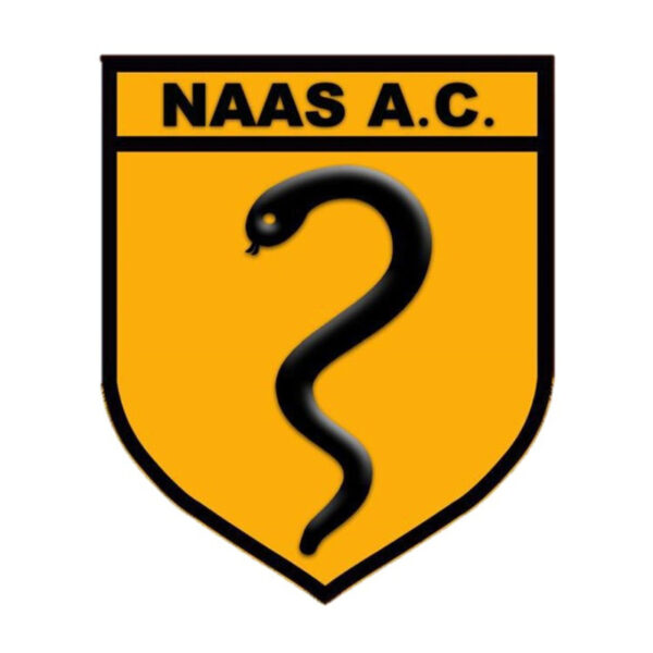 logo naas ac